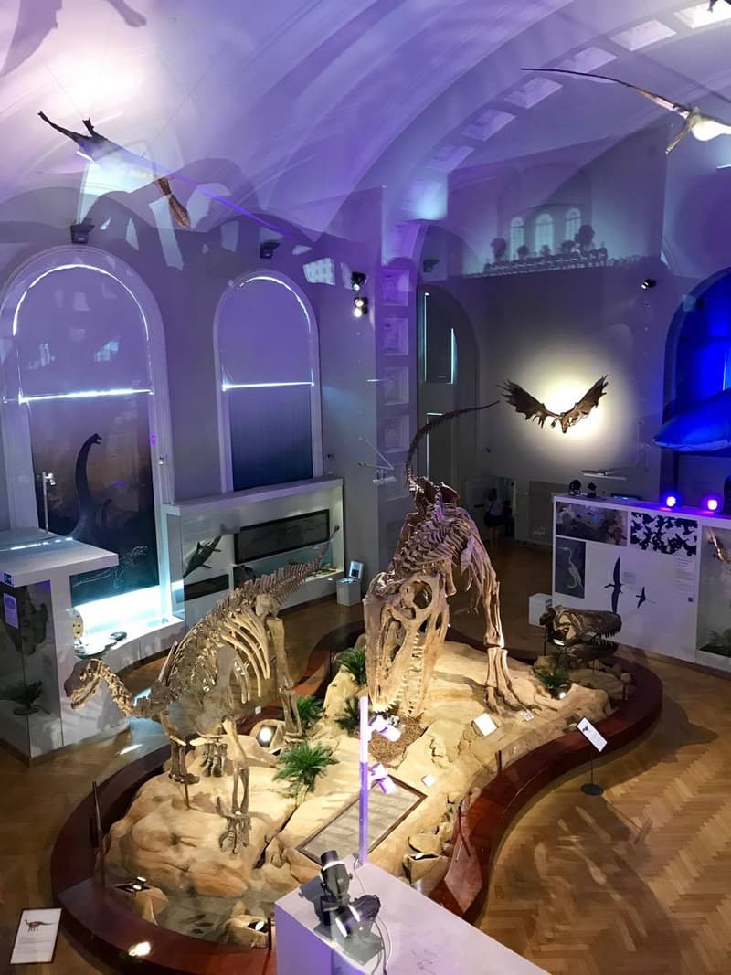 Museoon lasten kanssa Helsingissä