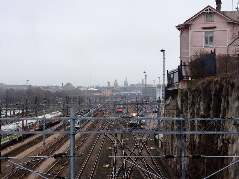 Linnunlaulun sillalla.