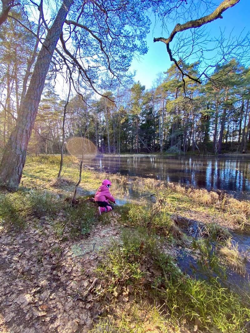 Minne tällä viikolla? 2.-8.3.2020