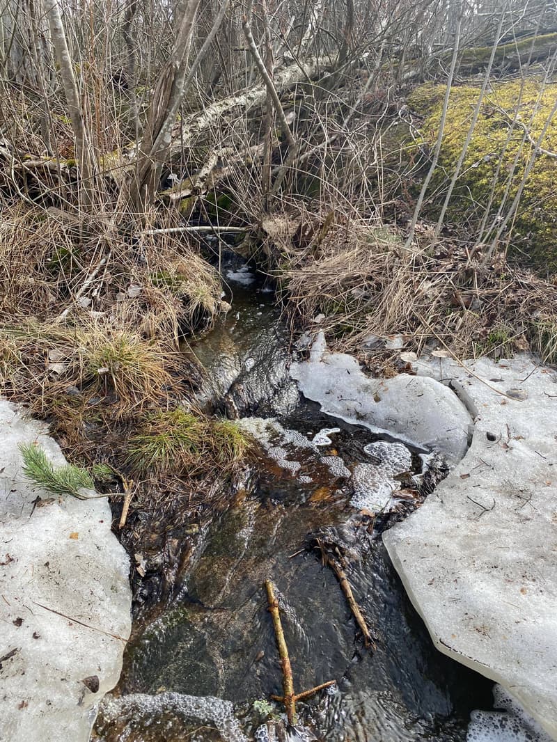 Minne tällä viikolla? 16.-22.3.2026