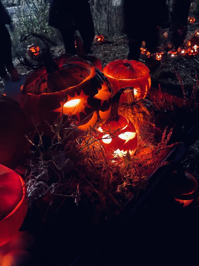 Minne mennä Pyhäinpäivän viikonloppuna? 1.-3.11.2024