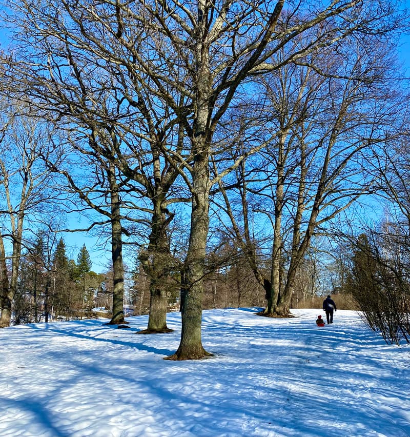 Minne tällä talvilomaviikolla? 19.-25.2.2024
