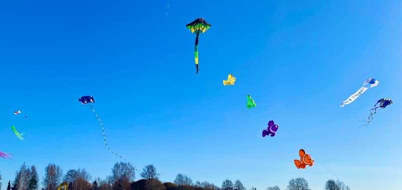 Minne tällä viikolla? 27.2.-5.3.2023