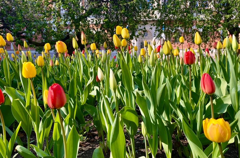 Minne tällä viikolla? 15.-21.5.2023