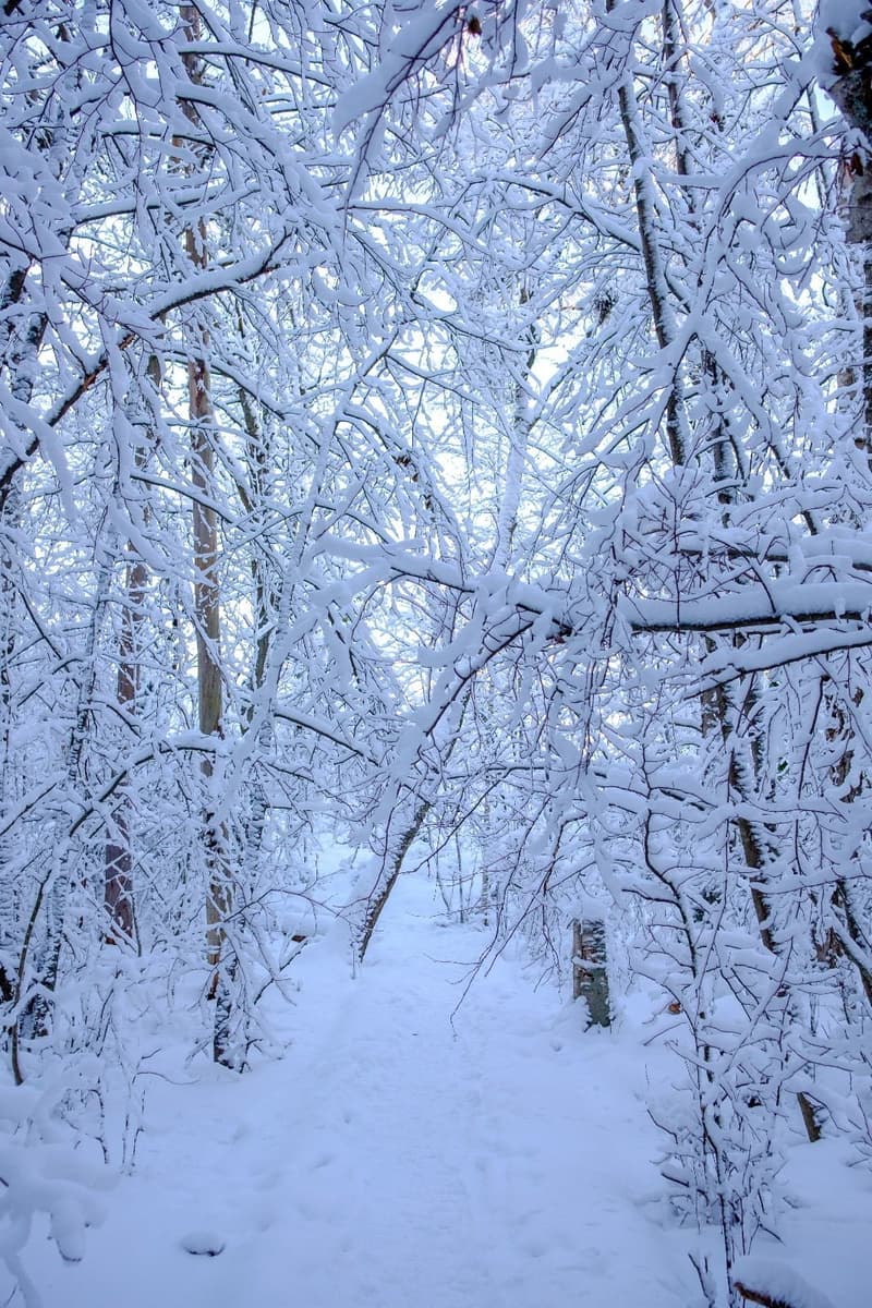 Minne tällä viikolla? 8.-14.1.2024