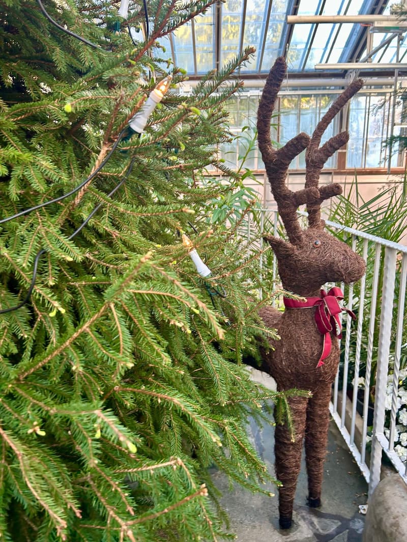 Minne tällä jouluviikolla? 15.-21.12.2025